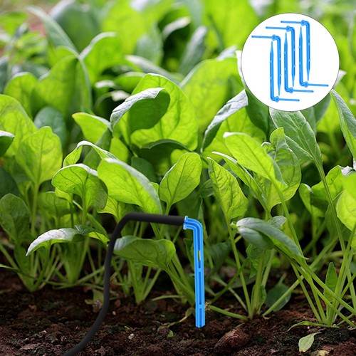 100 pcs irrigazione - irrigazione, automatico