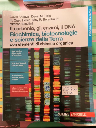 Carbonio gli enzimi - carbonio,, il