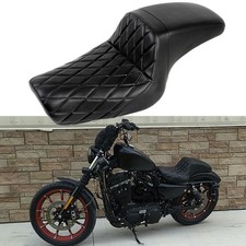 Motorcycle Driver Passenger