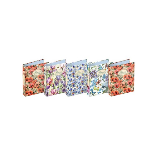 Raccoglitore nature flowers - flowers,