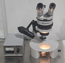 Microscopio stereo Wild
