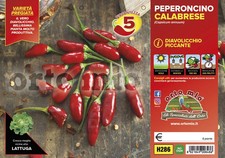 ORTO MIO 5 Peperoncino