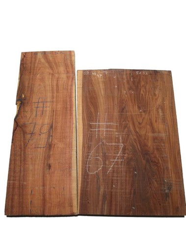 Legno palissandro morado - 1x, di