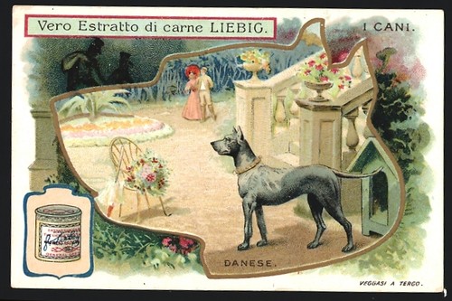 Figurina liebig cani - cani,,