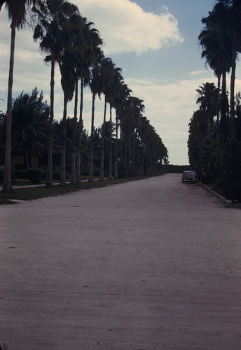 Kodak slide 1940 bordo - kodak,