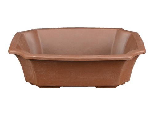 Vaso per bonsai - , rettangolare