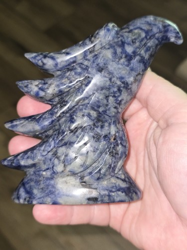 Sodalite eagle head carving - head,