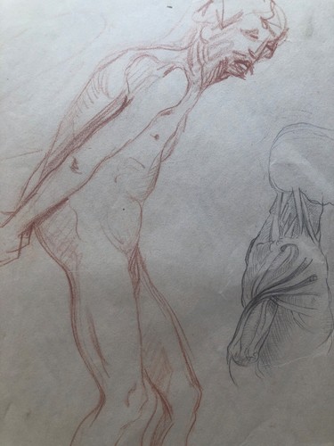 Disegno anatomico anni - anatomico,