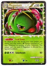 POKEMON • Meganium PRIME