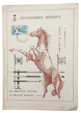Accademia Navale Campo Caprilli XVI concorso ippico equitazione IV V 1956