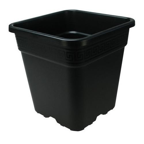 Vaso quadrato plastica nero - vaso,