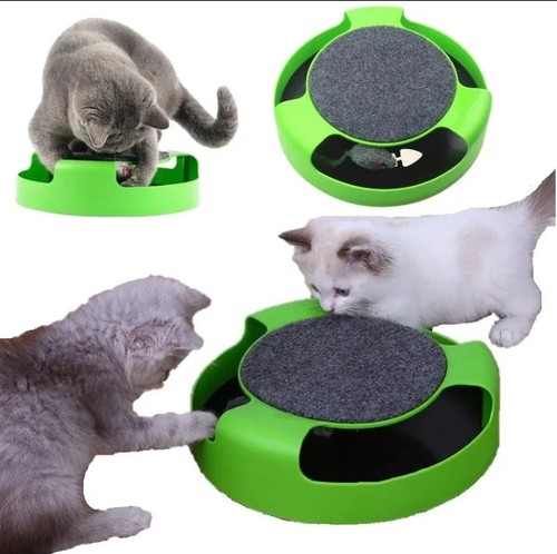 Gioco gatto interattivo - gatto,