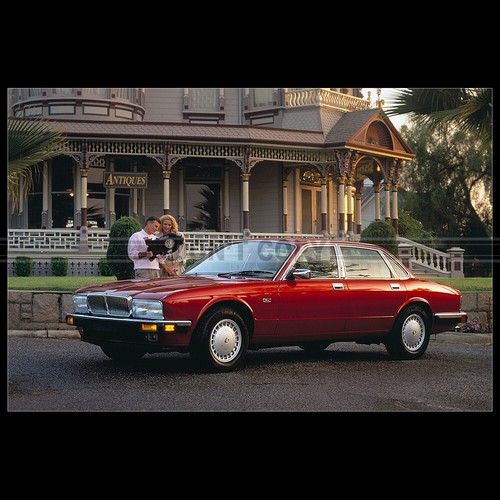 Photo 003412 jaguar - photo,