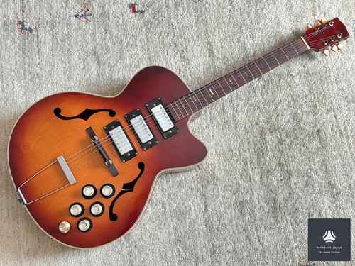 Chitarra elettrica teisco - chitarra,