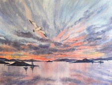 UCCELLINO NUVOLA CIELO MARE