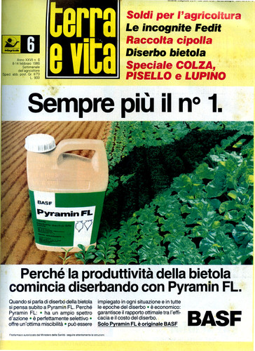 Terra vita n 6 del - ", n°