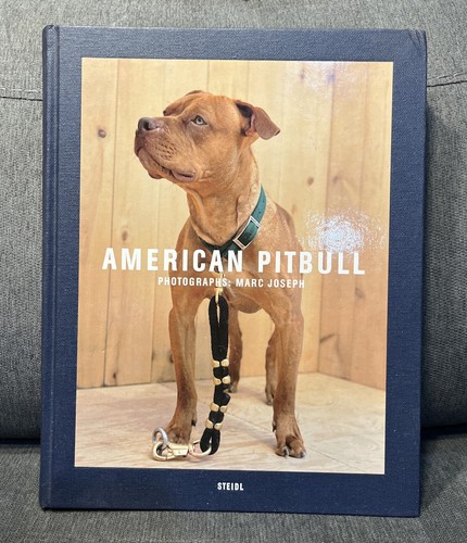 American pitbull james - pitbull, frey