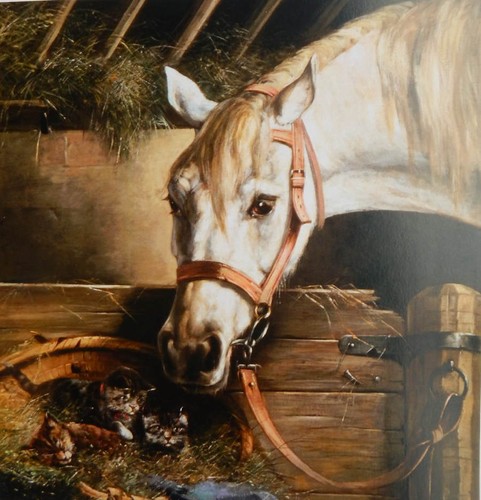 Cavallo stalla gattini - in,