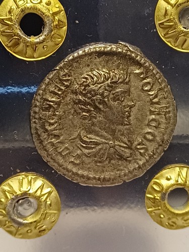 Moneta romana imperatore - imperatore, geta