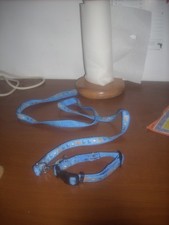 collare  cane taglia medio piccola in nylon+ guinzaglio leggi