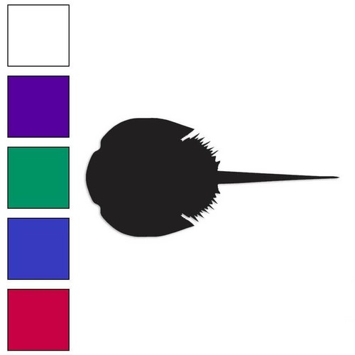 Granchio ferro cavallo - granchio,