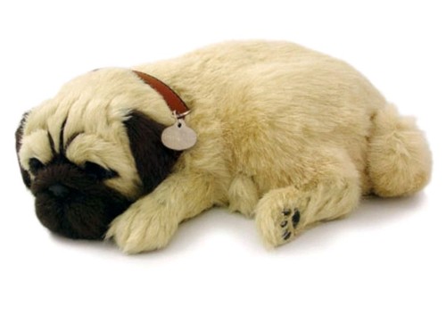 Petzzz carlino abbracciabile - carlino,