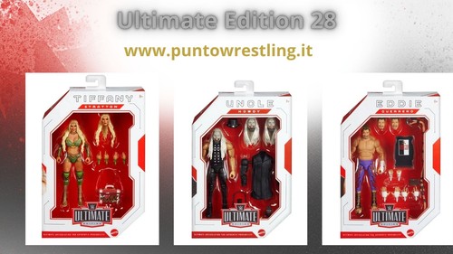 Wwe action figure - action, elite