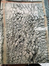 Giorgio celiberti i segni - -,