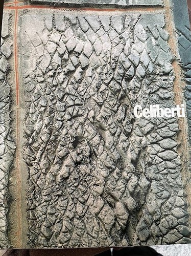 Giorgio celiberti i segni - celiberti,