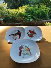 Set 3 piatti quadri con