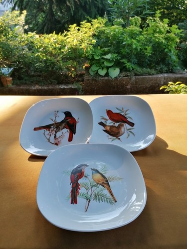 Set piatti quadri con - 3,