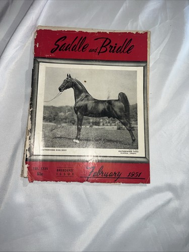 Saddle and bridle magazine - saddle,