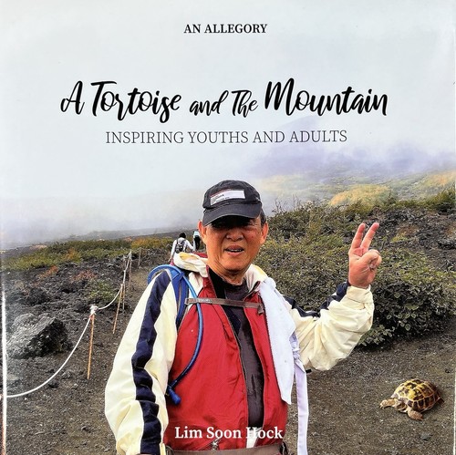 Tortoise and the mountain lim - tortoise,