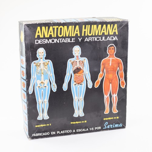 Serima anatomia humana 5 - -, 1:5