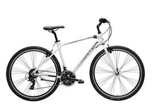 IBRIDA - Bici ADRIATICA BOXTER FY uomo Cambio Shimano 21 v da CITY BIKE STRADA