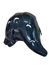 Copricollettori Carbonio Ducati Streetfighter o Borgopanigale Euro 5