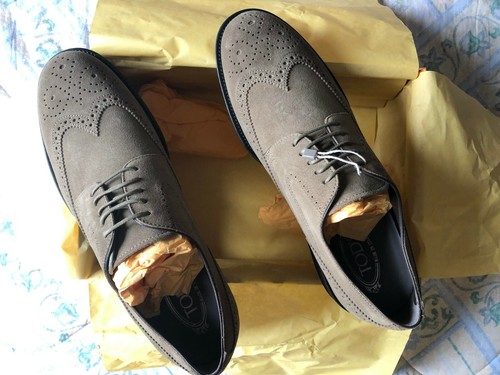 Tod derby brogue taglia - derby,