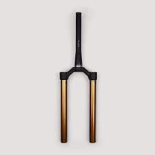 FOX 34 CSU 2019 Kashima |