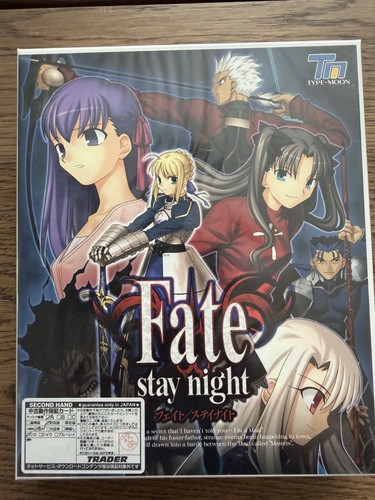 Fate stay night gioco - stay,