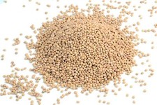 10 Kg lose Kirschkerne /