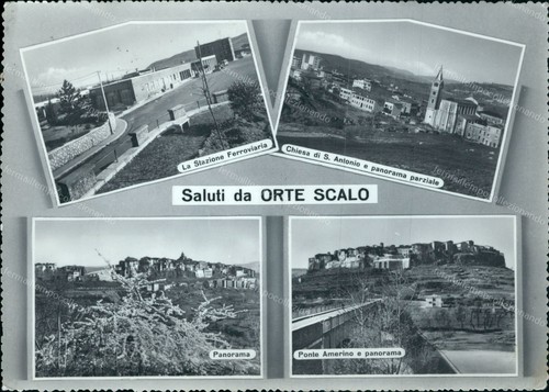 Am881 cartolina saluti orte - saluti,