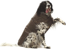 Montreal - Cappotto per Cani