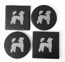 Cane Barboncino Incisione