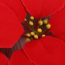  50 PCS Stelle Di Natale Finte