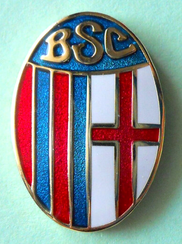 Distintivo spilla pin - distintivo,