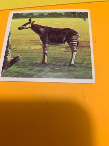 Figurina 284 mondo - n.284, il