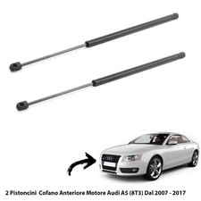 2 MOLLE A GAS PISTONI