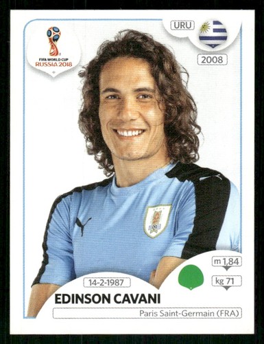 2018 panini world - world, soccer