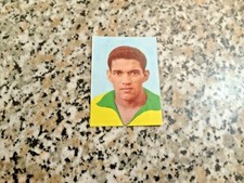 GARRINCHA N.135 SICKER VERLAG
