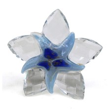 34871 Bomboniere Stella Marina